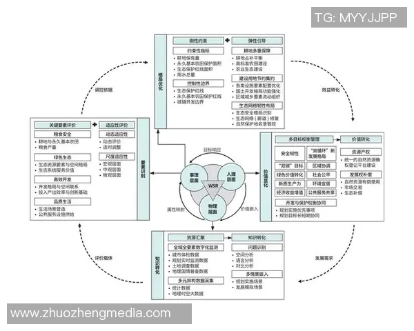 西安球队战术意识全面解析与表现评估